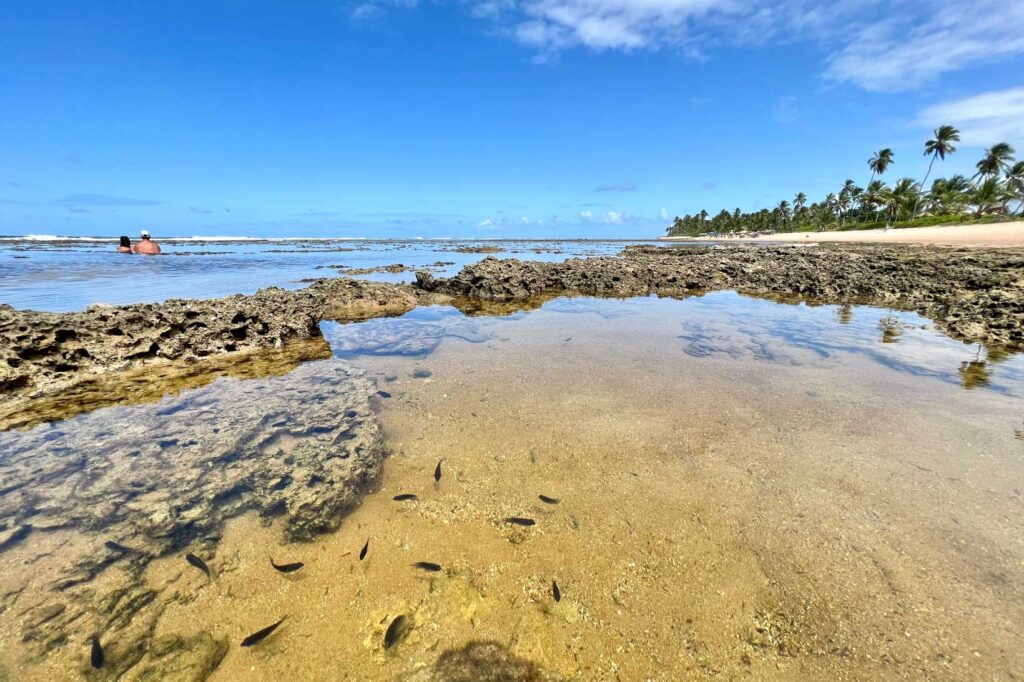 Praia do Forte, Bahia