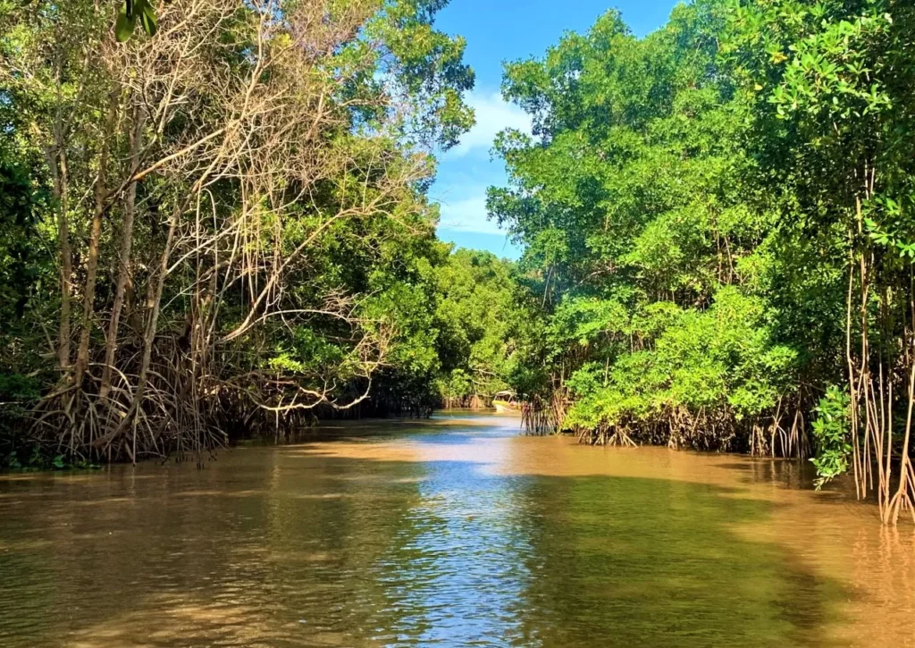 Delta do Parnaíba, Piauí